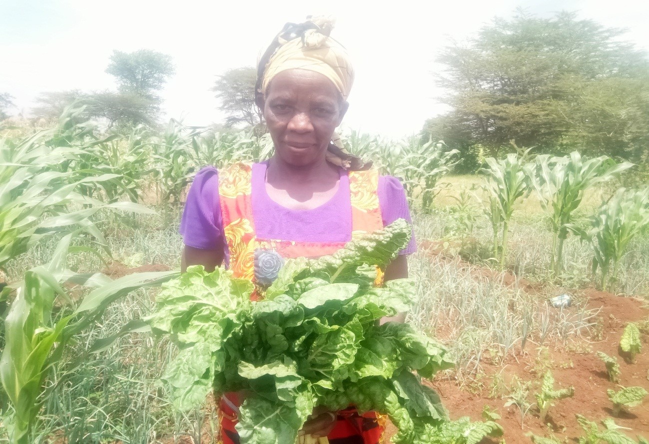 You are currently viewing DEVELOPING SELF-RELIANCE AMONG WOMEN THROUGH KITCHEN GARDENING